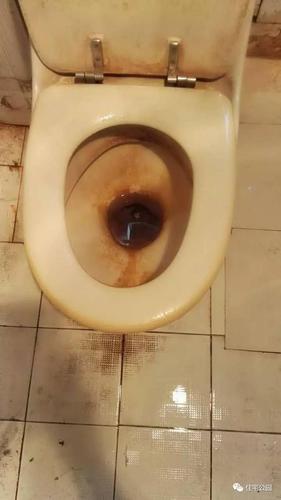 还在想着马桶太脏装蹲便器好我两套房都被装毁了