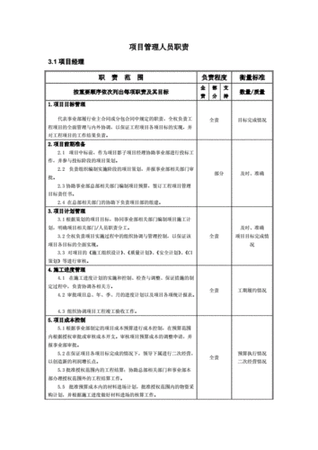 项目管理人员职责分工-说明书.doc 19页