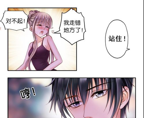 先婚后宠小娇妻