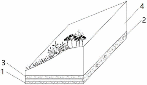 一种高水位滨海吹填土的绿化方法技术