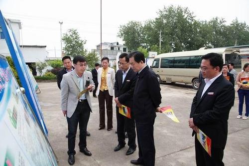 张曙光到泗县调研基层党建和扶贫开发工作