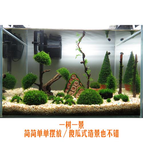 鱼缸莫斯定制单头造景沉木水草后景多头迎客松造景
