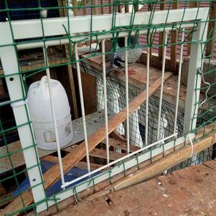 赛鸽鸽具跳笼口碰门活络门无障碍欧式进笼口进门
