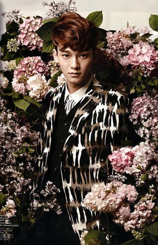 【组图】exo开启全面回归模式 杂志画报集体变身花美男