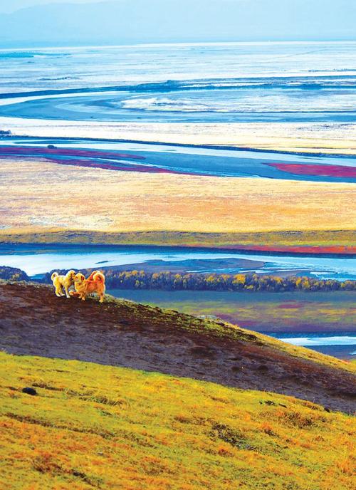 保存最完好的 高原泥炭沼泽湿地 也是一座国家湿地公园