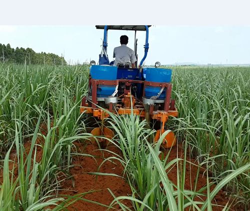 3zsp系列甘蔗中耕施肥培土机——甘蔗中耕管理好帮手