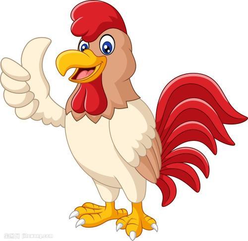 卡通鸡头像可爱