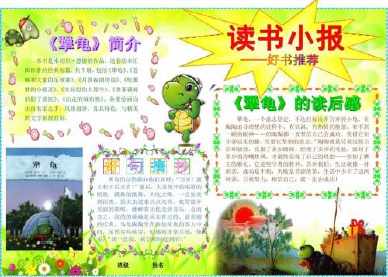 犟龟手抄报大全图画