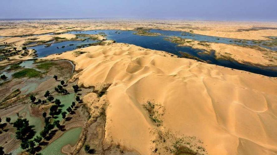 塔里木盆地有了新发现!原来沙漠下面还藏着它,看完涨知识了!