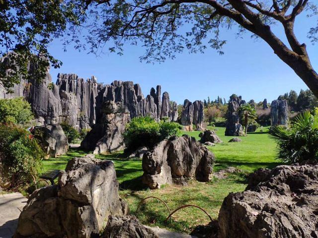 "景区内的石林景观非常有特色,是云南景点里面值得来的地方_石林风景
