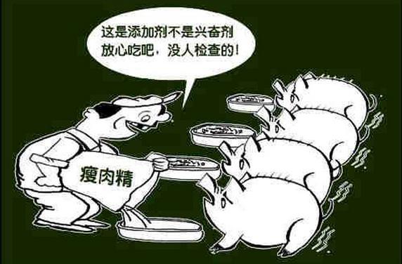 什么是瘦肉精_瘦肉精对人体的危害_万一吃到瘦肉精怎么办