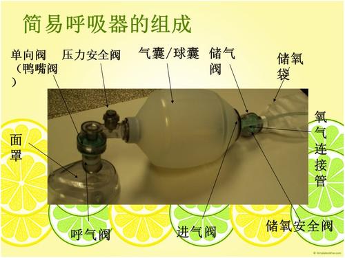 简易呼吸气囊的使用(ppt课件)