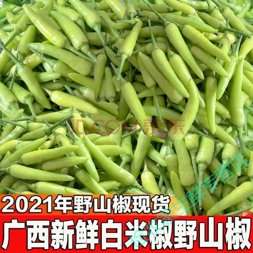 新鲜白米椒特辣泡椒辣椒小米椒鸡爪泡椒小个白辣椒泡酸野山椒 每日5斤