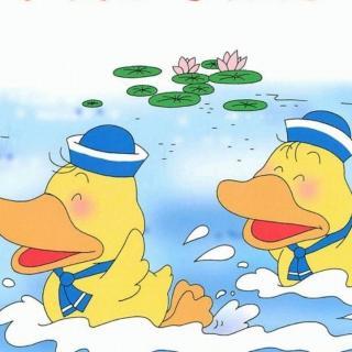 小小鸭子学游泳