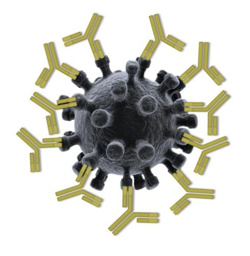 【科普与健康】接种疫苗产生的抗体和实际感染产生的抗体一样吗?