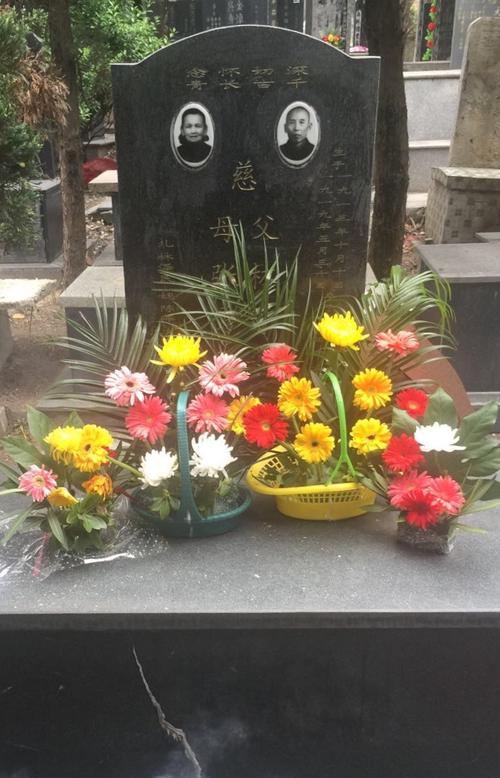 张秀珍-林子安生平简介_张秀珍-林子安网上纪念馆_天堂网.网上纪念馆