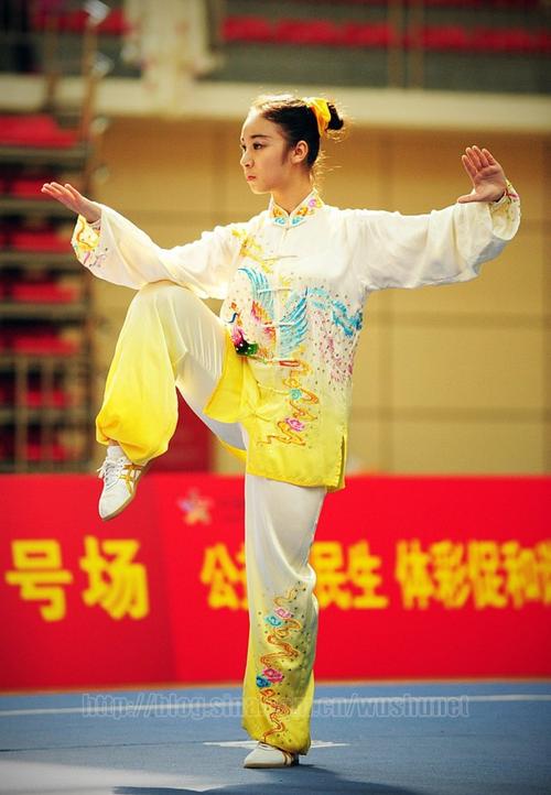 【动感地带】2014年全国武术套路冠军赛(传统项目)精彩瞬间