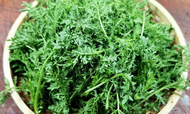 麦蒿含有多种氨基酸,脂肪,蛋白质,纤维素,青蒿素,胡萝卜素等营养物质