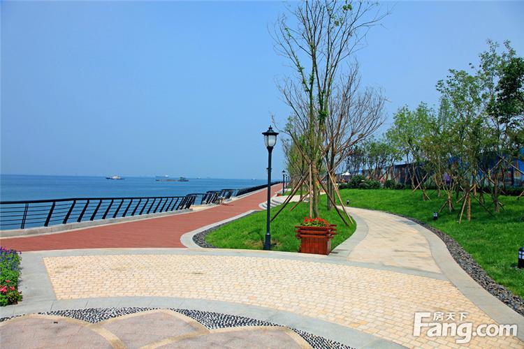 金茂湾:居 区位/观一线海景/享亲民价格-青岛新房网