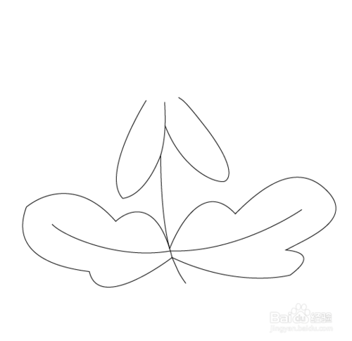 菊花发芽叶子简笔画