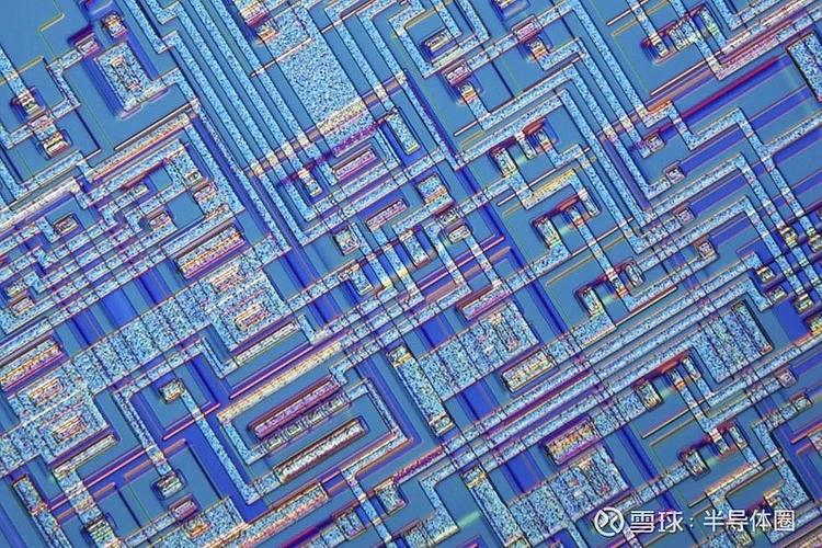 芯片上的晶体管有多小