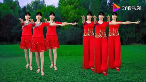 姐妹花热门网红广场舞《荞麦花》王二妮演唱,清脆悦耳动听!