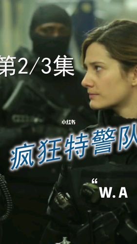 疯狂特警队2