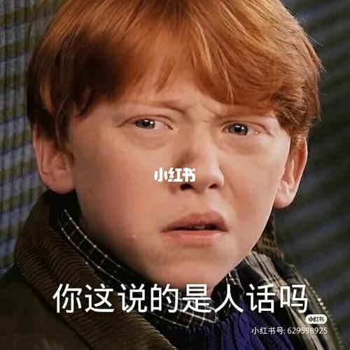 哈利波特表情包_哈利波特_表情包_素材_表情包