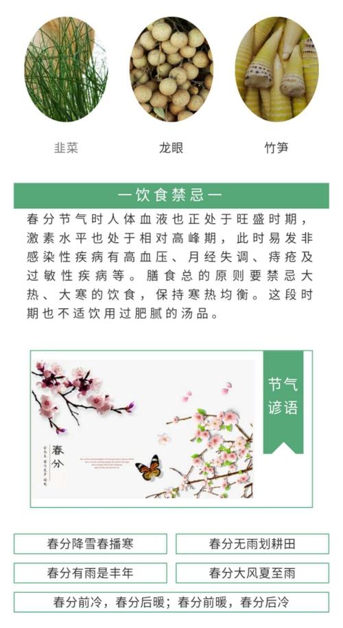 春分话养生