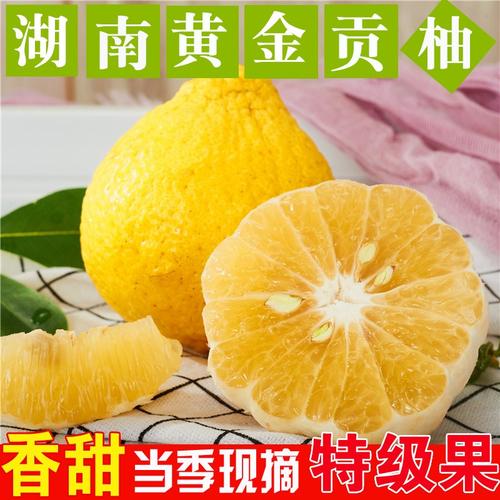 湖南怀化雪峰山黄金贡柚新鲜水果10斤装象山青香甜小柚子春香柚子