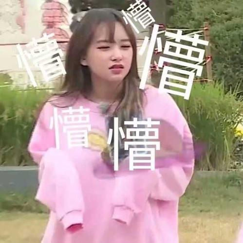 有没有程潇表情包?