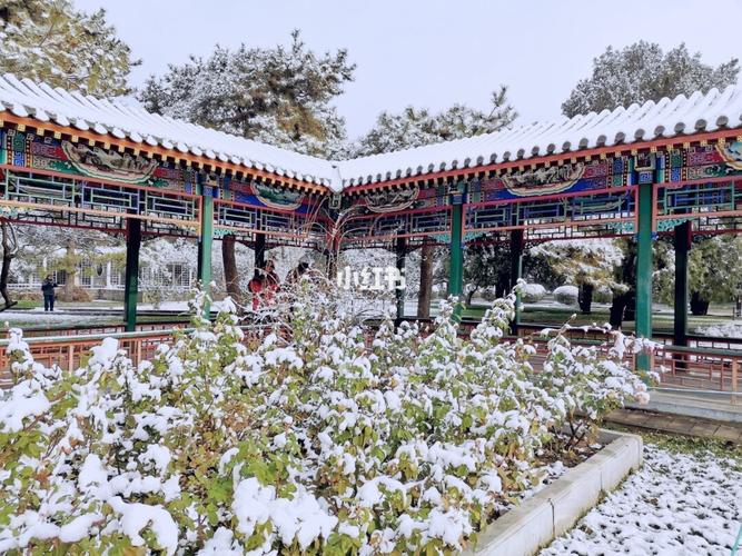 初雪的中山公园_雪景_出行_去处