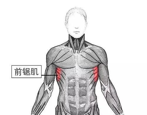 八块腹肌的身材管理真的一绝!