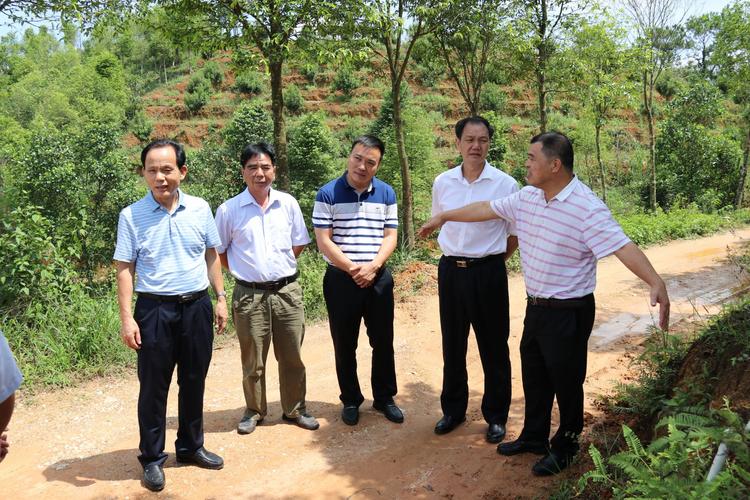 茂名市老促会会长罗明(右二)在高州大坡镇老区村现场听取市公路局同志