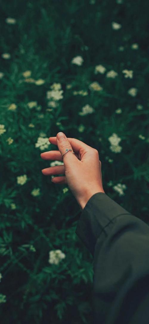 求好看的手壁纸