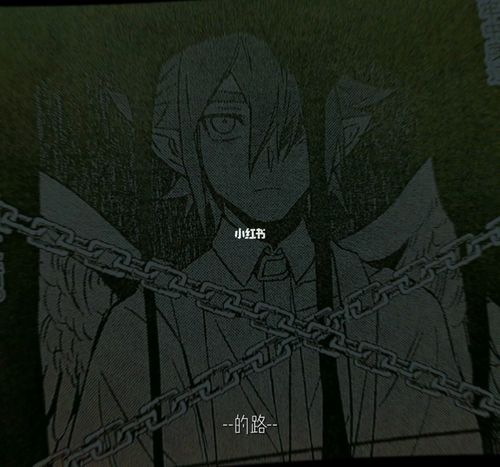 无冠王雷安