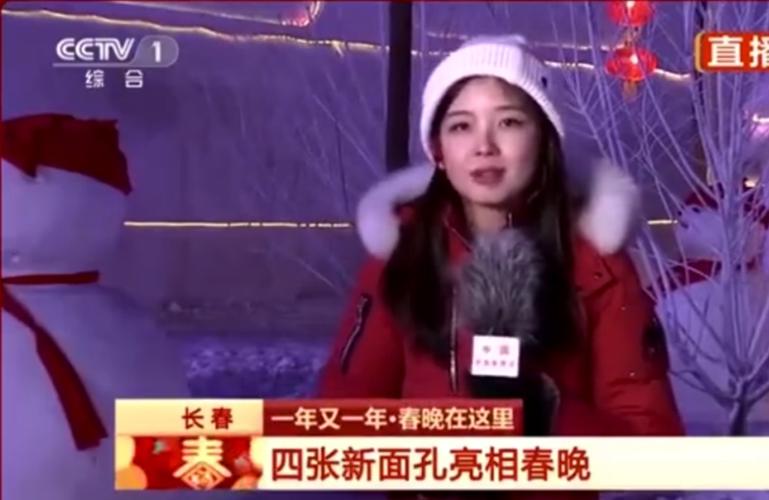 央视女记者突然走红素人碾压大批娱乐明星她的来头到底有多大