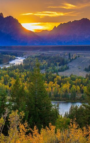 600_960竖版 竖屏