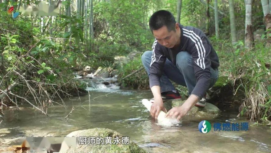 黄永德 深山竹林中藏着水泥森林里所没有的美味,每一棵笋萌发的都是一