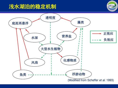 介绍了我国当前湖泊富营养化的整体现状,并对治理水体富营养化这一
