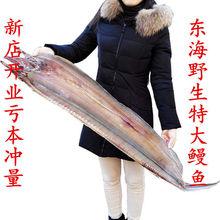 浙江温州海产海捕淡干海鳗鱼干自晒无盐海鲜咸鱼干货海鲜干货包邮