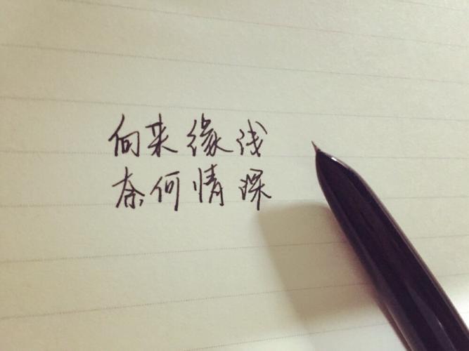 向来缘浅,奈何情深.