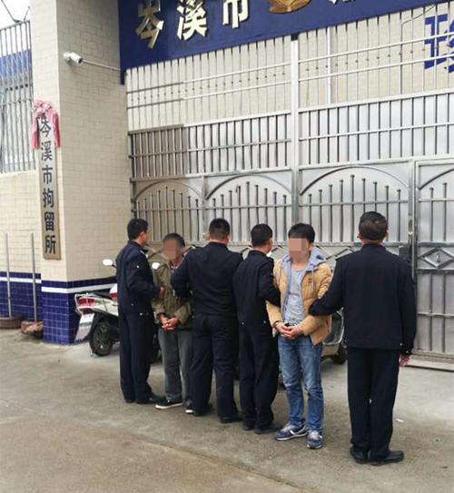 岑溪:6人因无证驾驶被拘