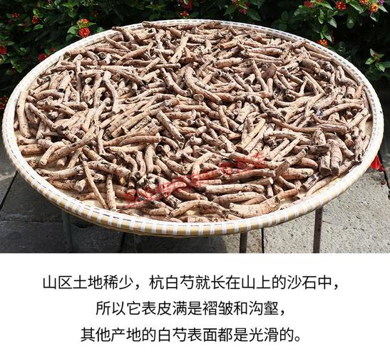 杞里香杭白芍浙白芍中草药白芍500g生白芍片白芍粉中药原材白芍药