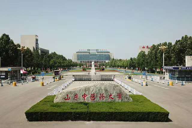 山东中医药大学成人高考针灸推拿学专业介绍