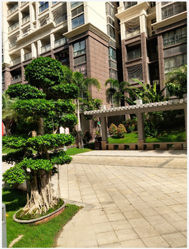 【鸿信·南茶御景】