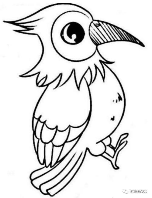 线条边框简笔画图片大全_动物简笔画动物 儿童简笔画大全