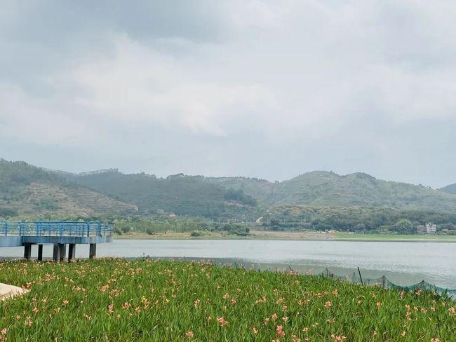 苍海湖梦幻小屋,花海好漂亮,游玩好去处!