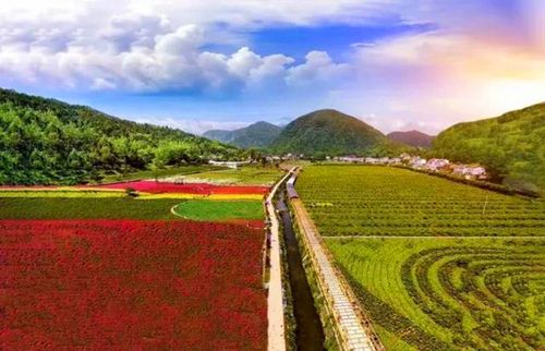宜昌知音畔岛介绍