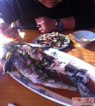 老阿爸野鱼馆(东吴南路店)